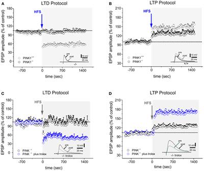 Dietary Vitamin E as a Protective Factor for Parkinson's Disease: Clinical and Experimental Evidence